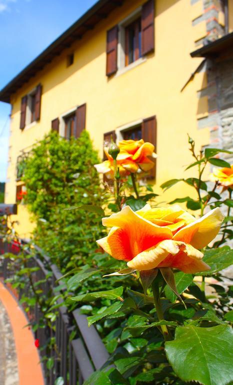 Villa "Corte De' Baldi" Ortignano Raggiolo المظهر الخارجي الصورة
